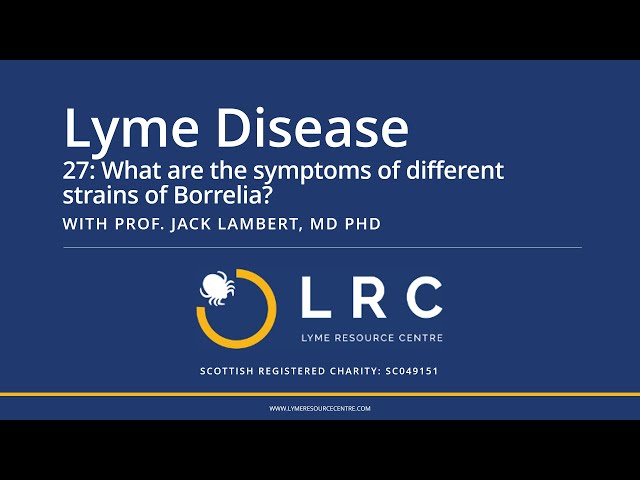 Lyme Disease - Small Bites for GPs 27: What are the symptoms of different strains of Borrelia?