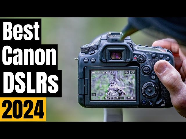 Level Up Your Photography: Top Canon DSLRs for Every Skill Level (2024)