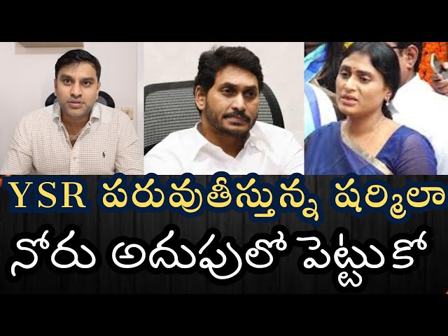 షర్మిల గారూ - క్రెడిబిలిటీ గురించి మాట్లాడే నైతిక అర్హత మీకు లేదు- రాజకీయంగా నువ్వు జీరో