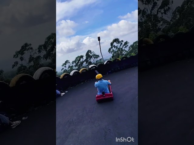 speeding with luge cart