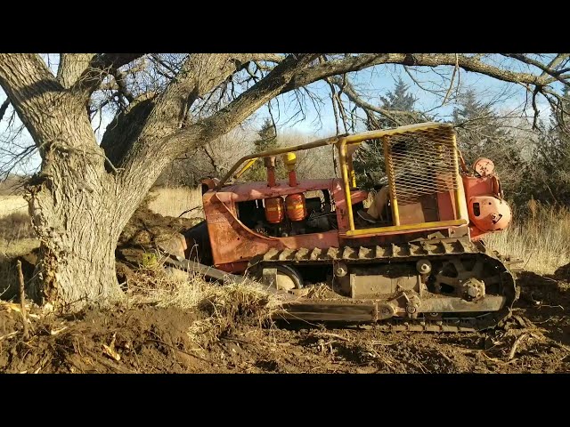 Allis Chalmers dozer takes down a massive tree.