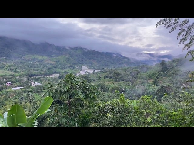 7AM birds singing panorama view