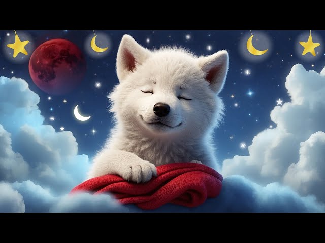 Baby Fall Asleep Quickly After 1 Minute 😴 Mozart Lullaby For Baby Sleep #41