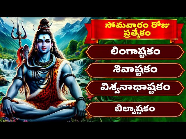 సోమవారం ప్రత్యేకం | లింగాష్టకం | శివాష్టకం | విశ్వనాథాష్టకం | Lord Shiva Songs With Lyrics