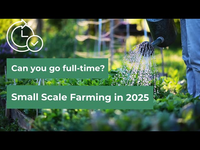 Can You Really Farm Full-Time in 2025? The Truth About Small-Scale Farming