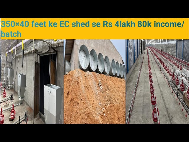 How much earn money from Ec shed 350*40 feet per batch or month Rs 4,80000 how learn @i