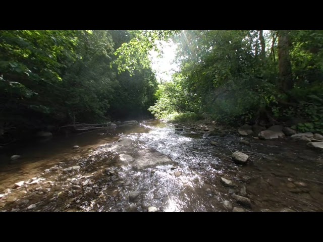 VR 180 Cullen Park Stream