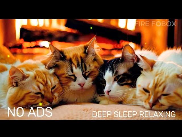 Relaxing Cat Music 🐈 Anxiety relief music for cats, Soothe your cat with our relaxation music no ads