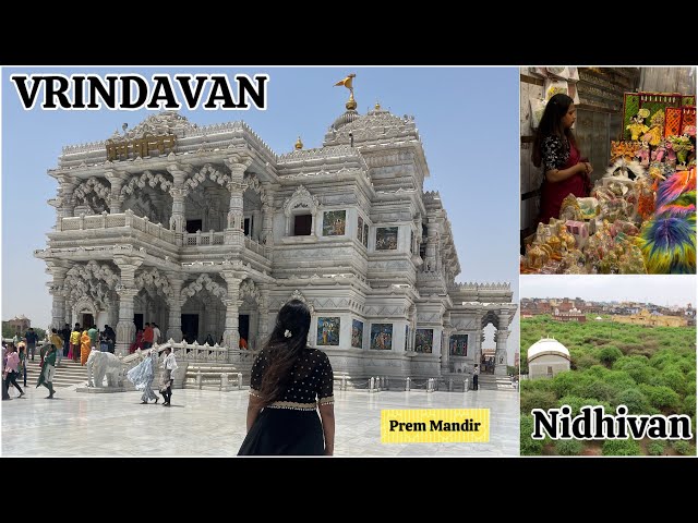 PREM MANDIR | VRINDAVAN | NIMMA SHRAVANI #vrindavan #premmandir #nidhivan #srikrishna