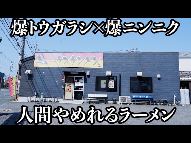 【禁断】一度これに手を出すと人間やめれる中毒性タンタンメン