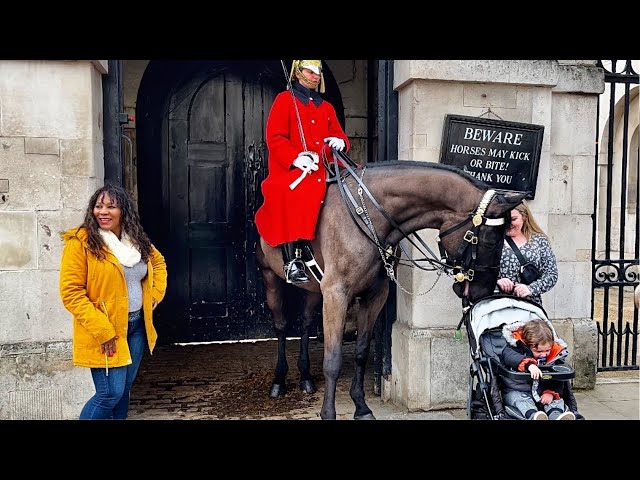 The Most Funny Royal Kings Guards Horse.!