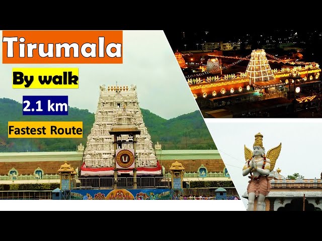 Tirumala trip by walk|Tirupati|Telugu Vlogs |alipiri steps way| #tirumala #Rain #live #flood #heavy