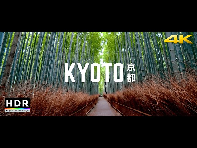 Kyoto, Japan - 21:9 Ultrawide 4K HDR - Arashiyama Bamboo Forest - Cinematic Short