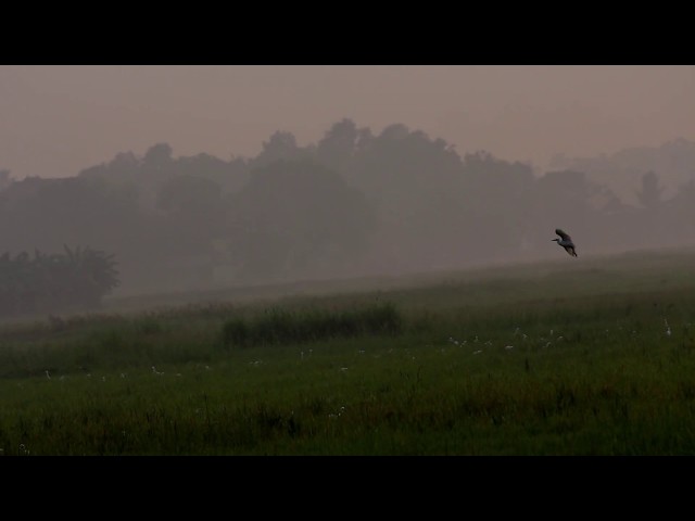 Greenery Land, God's own Country...