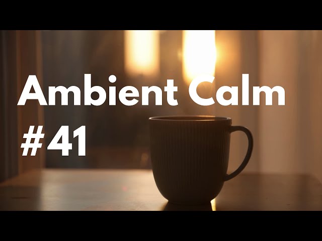 Ambient Calm #41 | Songs to Study, Work, Chill, Relax to | Warm Cozy Coffee Mug Vibes