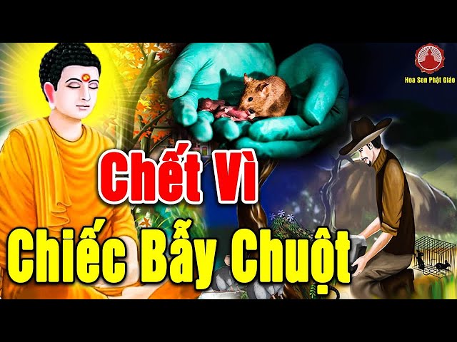 C.HẾT VÌ BẪY CHUỘT Cái Kết Đắng Cho Sự Vong Ơn Bội Nghĩa - Chuyện Nhân Quả Báo Ứng Hay Nhất 2025