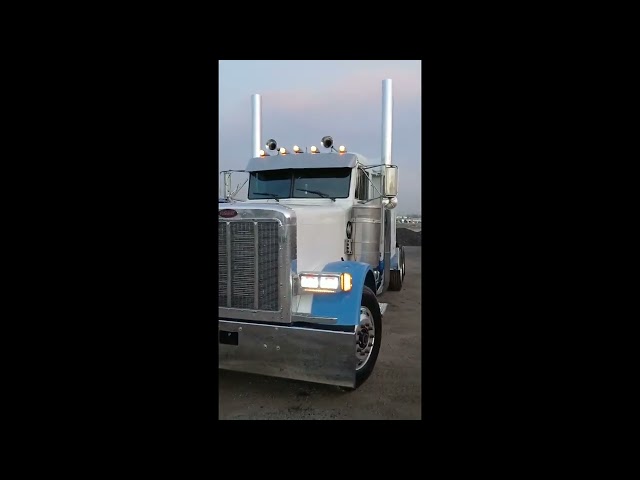 1994 PETERBILT 379 For Sale