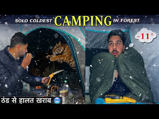 Coldest Winter Night Camping In Deep Jungle | Solo Snow Camping In India | Camping Trip | #snow