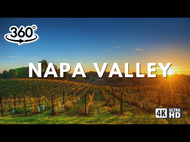 EPIC 360° Driving Tour of Napa Valley: Vineyards, Wineries, Restaurants and Local Tips!