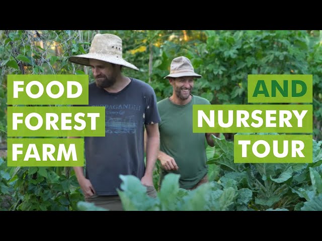 Visit this Farm & Nursery to Break Free from the Grocery Store