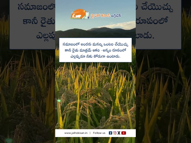 JHK Farmer Quote | Motivational quotes Telugu II Inspirational Quotes I Telugu Quotes|  @JaiHoKisan