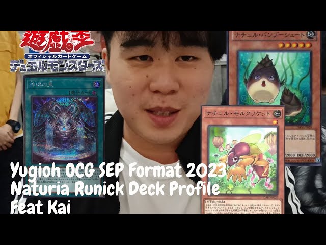 [Yugioh 游戏王] OCG SEP FORMAT 2023 | Runick Naturia Deck Profile | Feat Kai