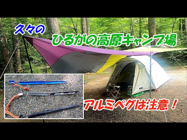 【ソロキャンプ】久々のひるがの高原キャンプ場～アルミペグ は注意が必要？～