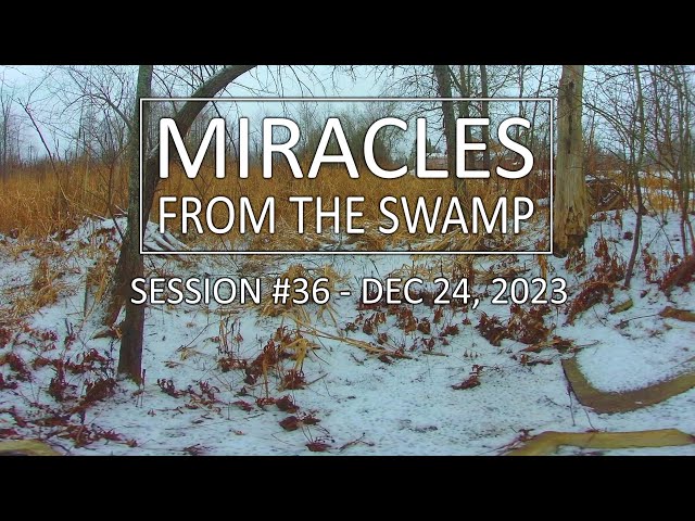 Miracles From The Swamp : Session #36 - December 24, 2023 at 11:11 AM | Virtual Reality / VR180