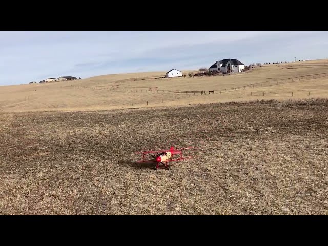 Parkzone albatross in heavy wind