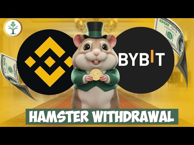 How To Withdraw Hamster Kombat To Binance & Bybit Exchange