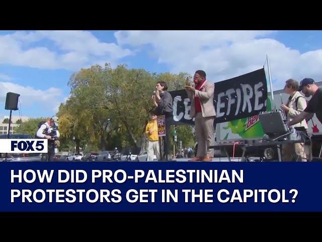 How did pro-Palestinian protestors get into the Capitol?