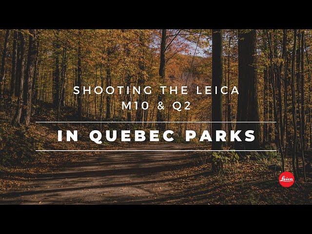 Fall in Quebec's Parks -  Shooting the Leica M10 and Q2 in two beautiful parks near Montréal