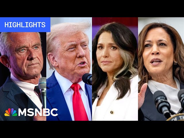 Countdown to the 2024 election: Day 64 | MSNBC Highlights