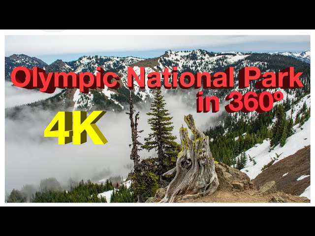 Olympic National Park 360: Hurricane Ridge