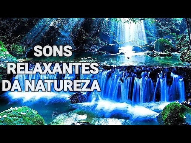 Sons Relaxantes Da Natureza