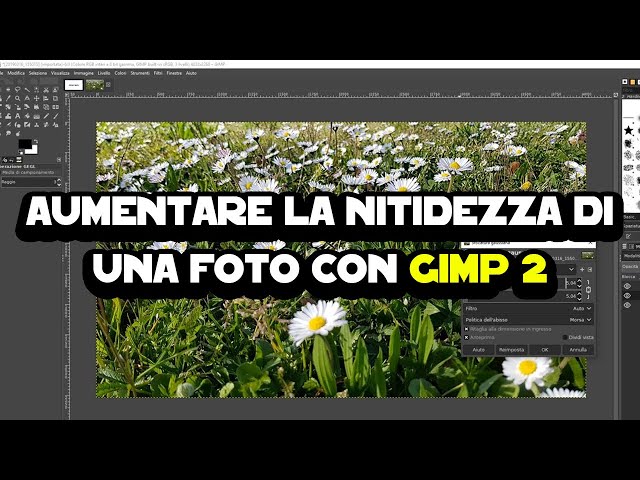 Come aumentare la nitidezza di una foto con Gimp 2