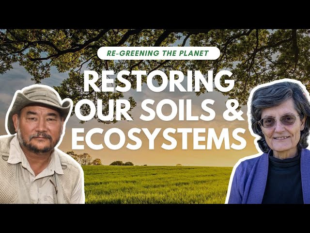 How to Restore Soil Biology and Ecosystems | Re-greening the Planet Part 1