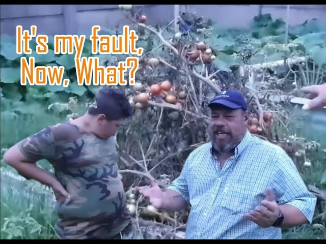 I dropped the ball! - Tomato failure [Repair and prepare the garden bed & camera finally dies]