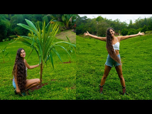 700+ Fruit Trees Planted! 🌴 Before & After Orchard Transformation + Harvesting Bananas 🥥🍌 Vegan Life