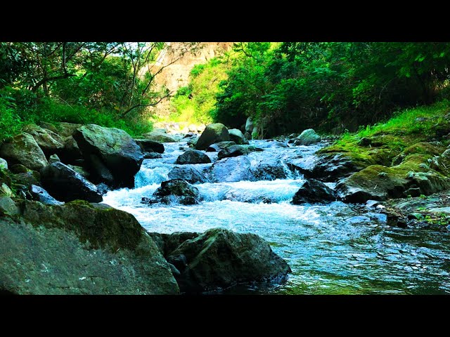 Waterfall sounds for sleeping natural stream of flowing water forest stream sounds for relaxation