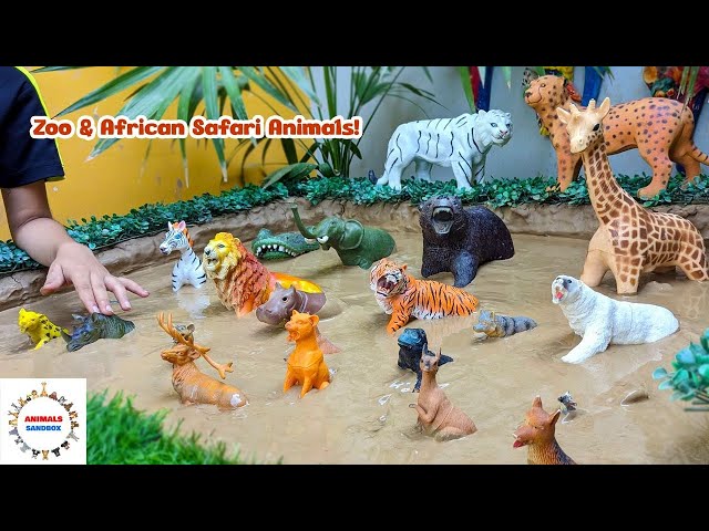 Minizoo in Sandbox & African Safari Animals Fun Learning with Ryan & Zayan | Kids Live Fun