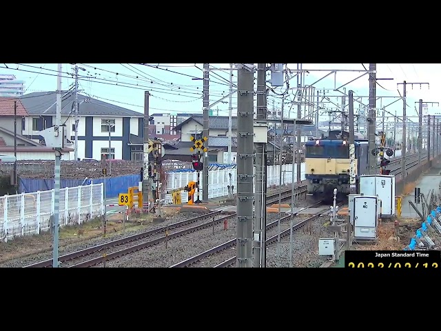 JRF EF64 single locomotive cam② @7k4jpj