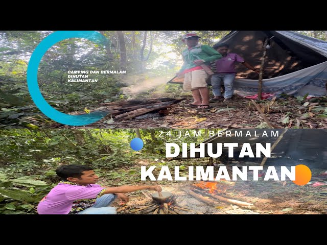 CAMPING DAN BERMALAM DIHUTAN ANGKER KALIMANTAN(DUET). #camping #campinglife #bolang #camp #fish