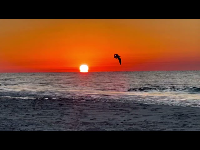 Relax and watch the sunrise at Pensacola Beach, Florida