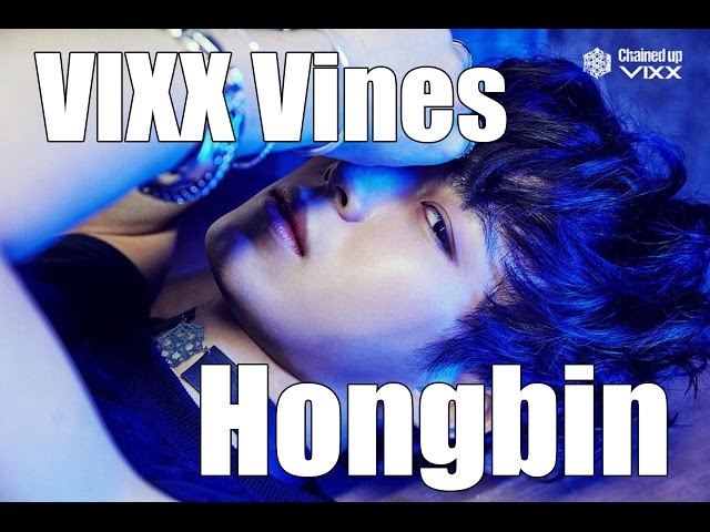 VIXX Vines - Hongbin