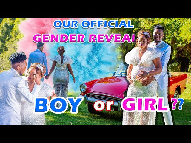 THE BULLS GENDER REVEAL/THE MOMENT OF TRUTH! IS IT A GIRL/BOY?