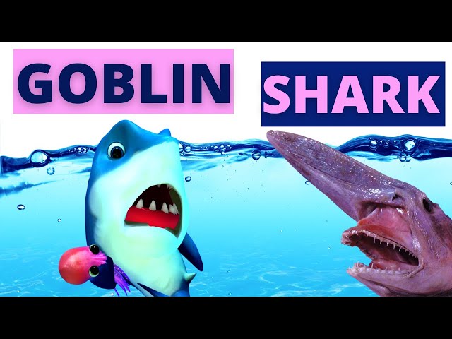 The Goblin Shark | Facts for Kids | What makes a Goblin Shark Unique?