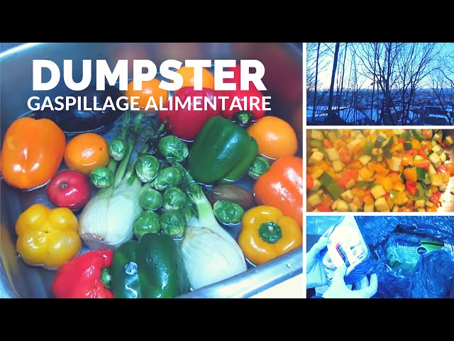 Dumpster Diving Quebec city - Contre le gaspillage alimentaire - Québec - Save the food