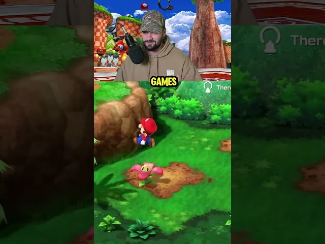 Sonic Franchise Cameo In A Mario Game?!