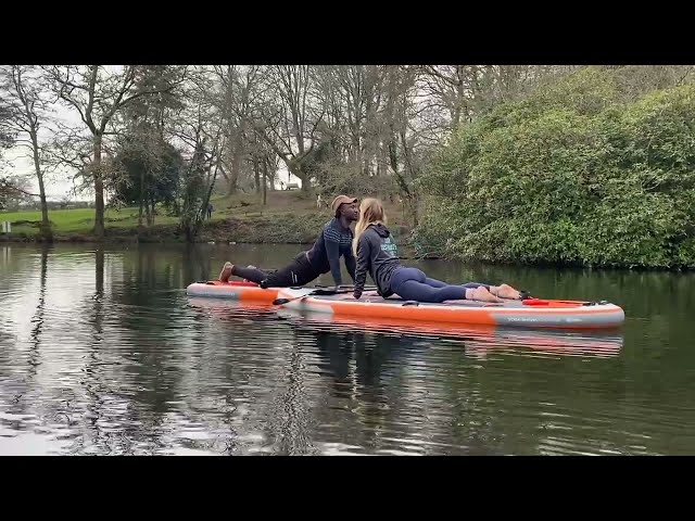 SHARK SUP YOGA Cobra Pose